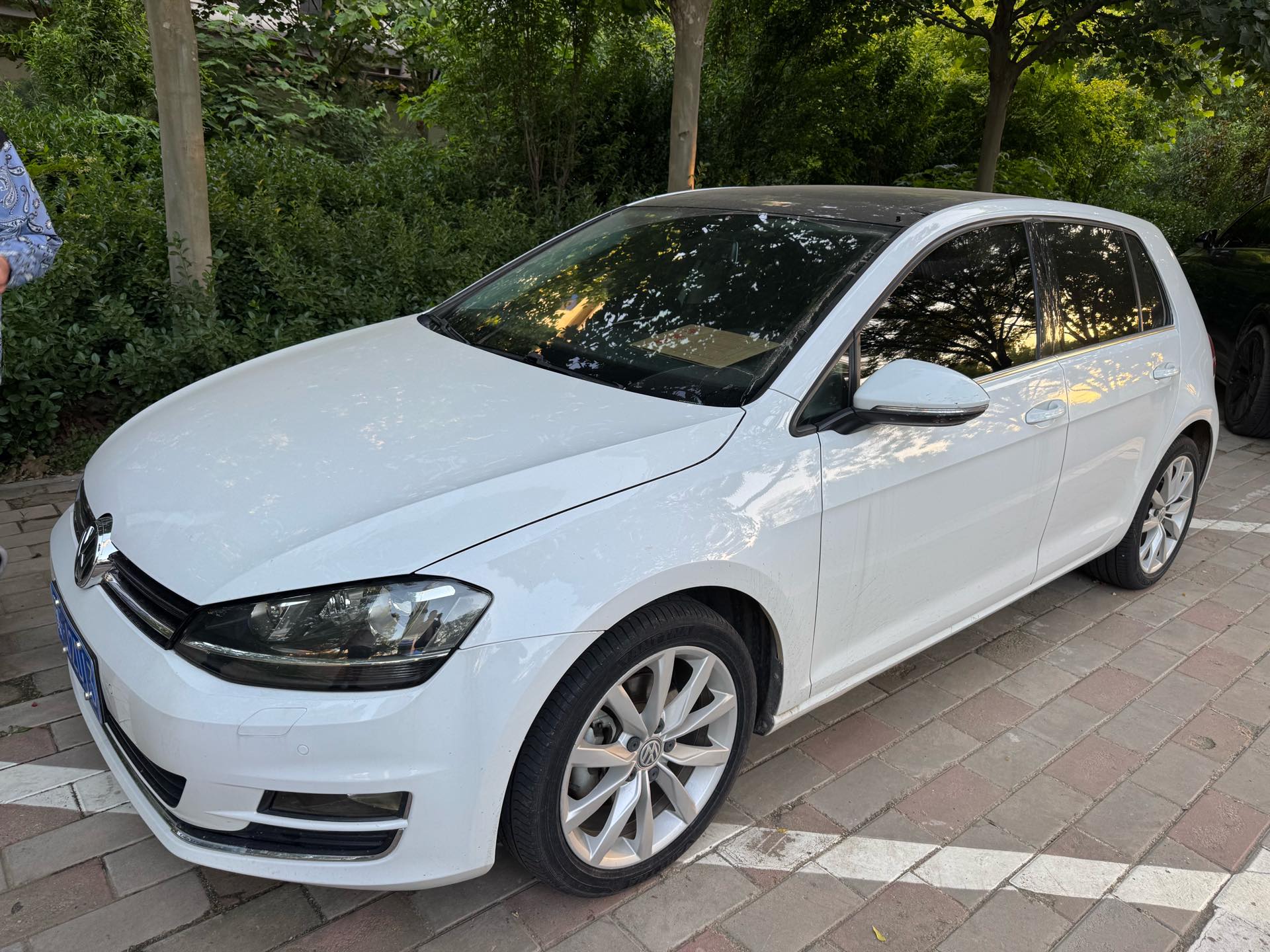 Volkswagen Golf 2016 汽车图片 