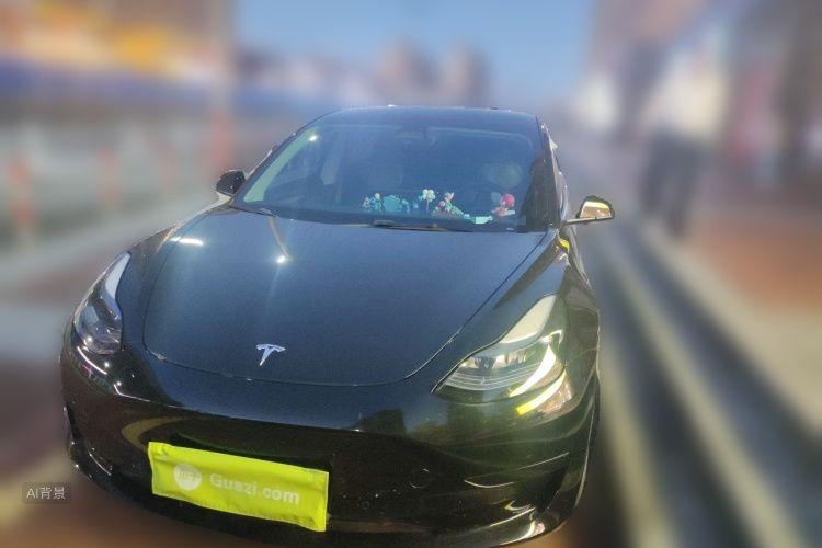 Tesla Model 3 2022 #3 Tesla Model 3 2022 car image #3
