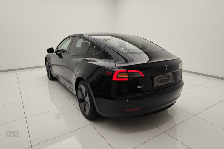 Tesla Model 3 2021 #5 Tesla Model 3 2021 car image #5
