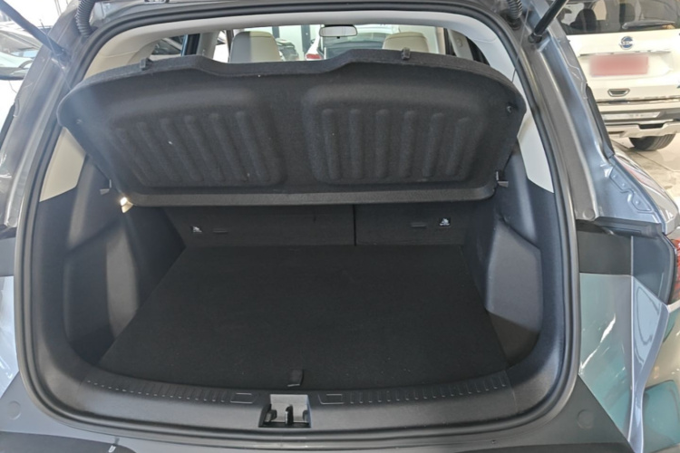 BYD YuanUP 2024 car image #19