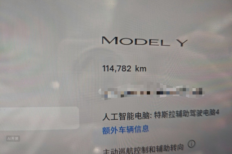 Tesla Model Y 2024 #14 Tesla Model Y 2024 car image #14