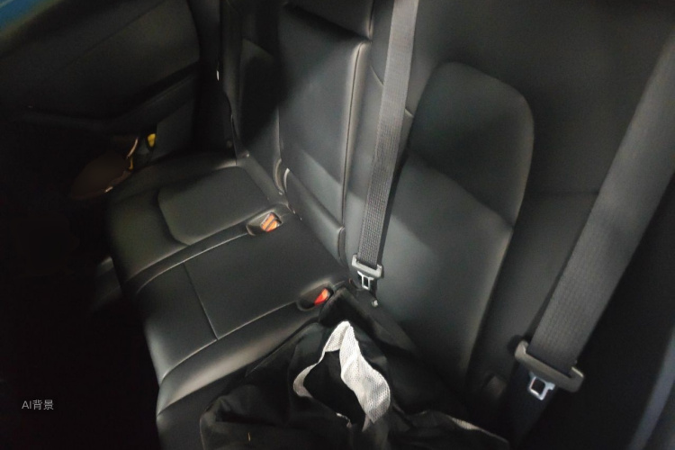 Tesla Model Y 2023 car image #19