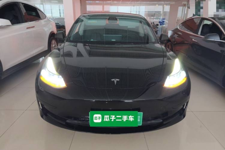 Tesla Model 3 2021 #3 Tesla Model 3 2021 car image #3