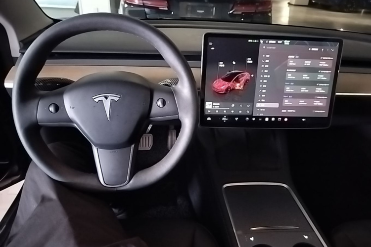 Tesla Model 3 2023 car image #10