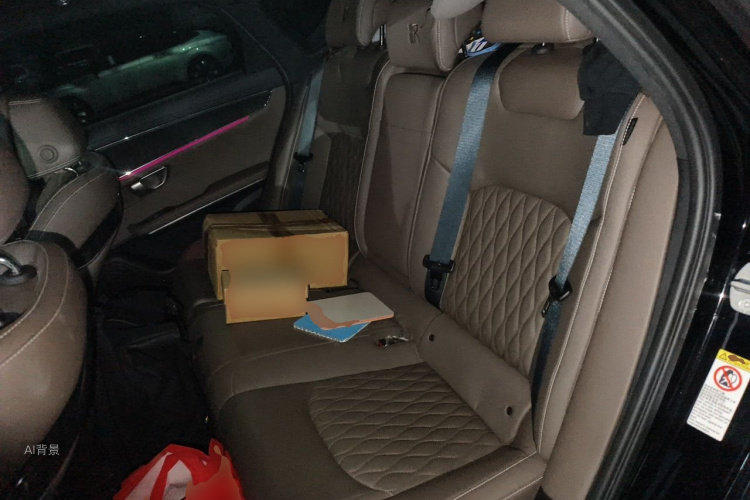 BYD Han 2021 car image #19