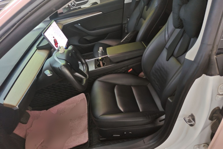 Tesla Model 3 2021 car image #19