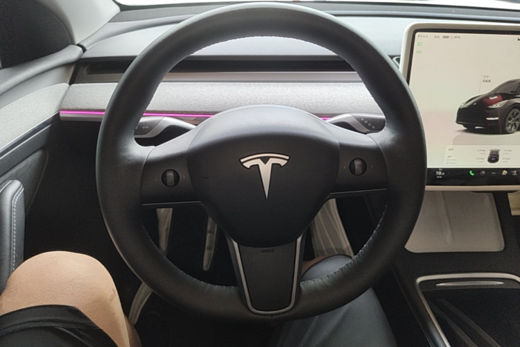 Tesla Model Y 2024 car image #11