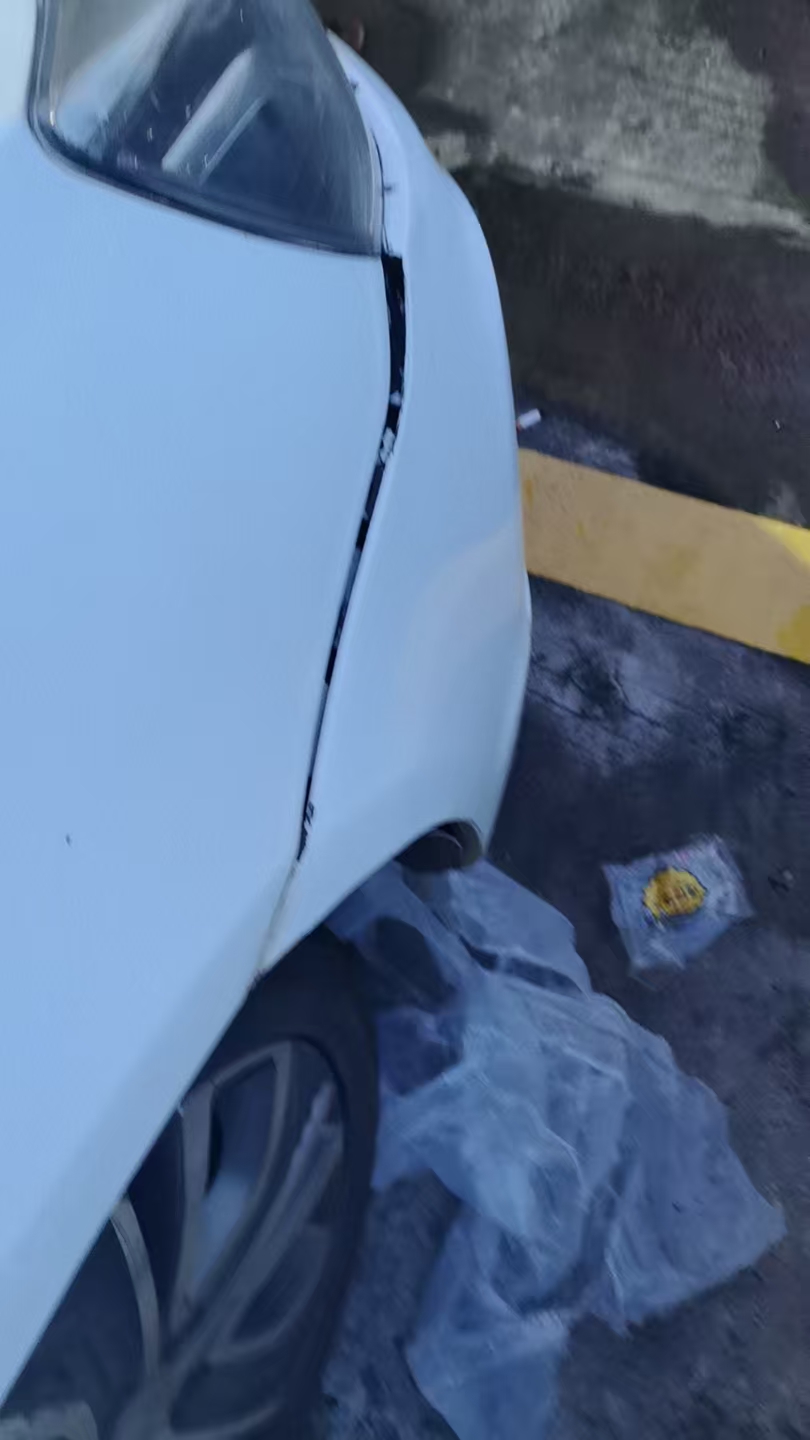 GEELY Emgrand New Energy 2018 car image #3