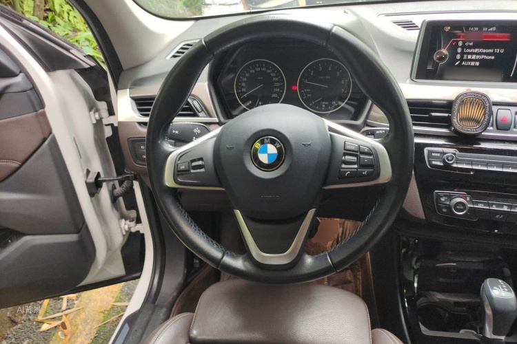 BMW X1 2017 car image #12