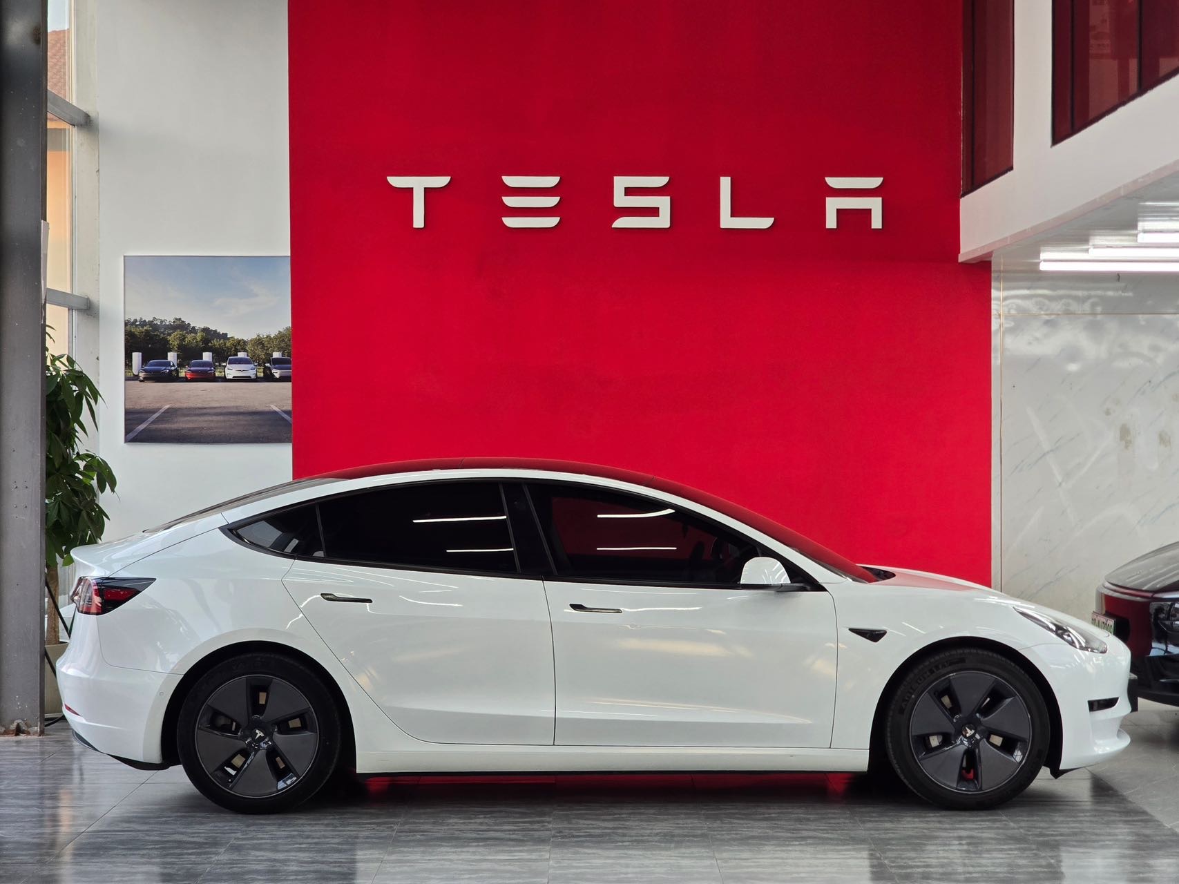 Tesla Model 3 2021 immagine di auto #3