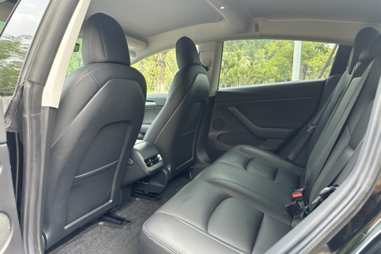Tesla Model 3 2021 #9 Tesla Model 3 2021 car image #9