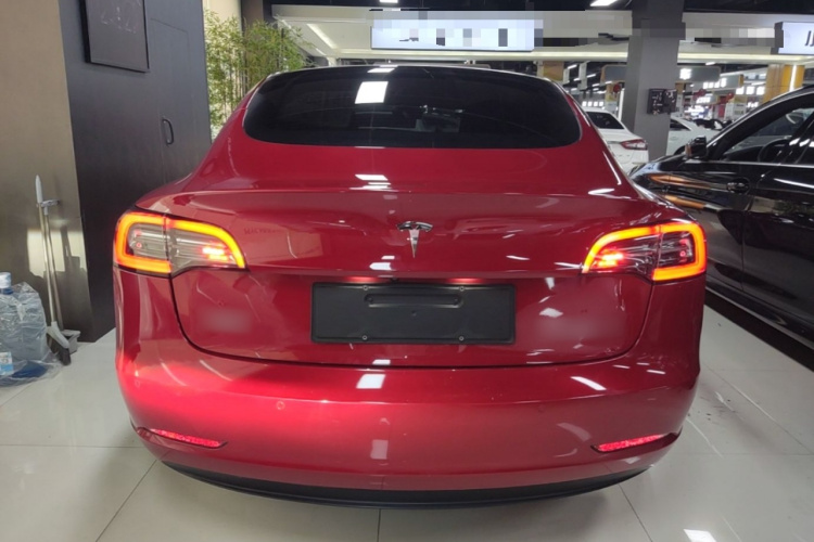Tesla Model 3 2020 car image #4