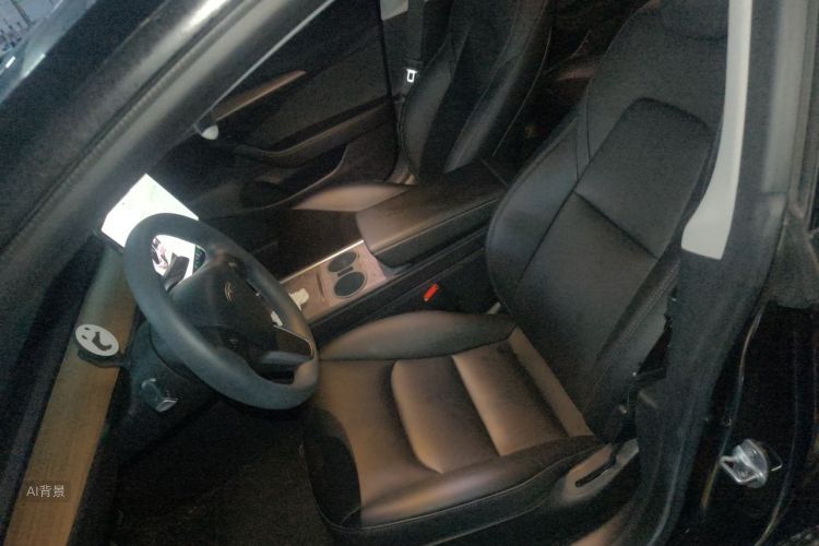 Tesla Model 3 2023 car image #17