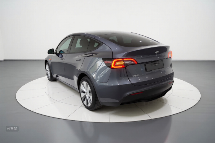 Tesla Model Y 2021 car image #5