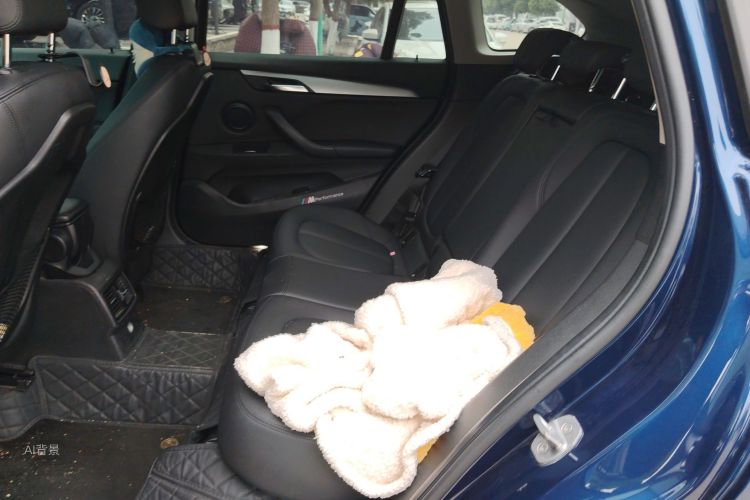 BMW X1 2018 car image #19