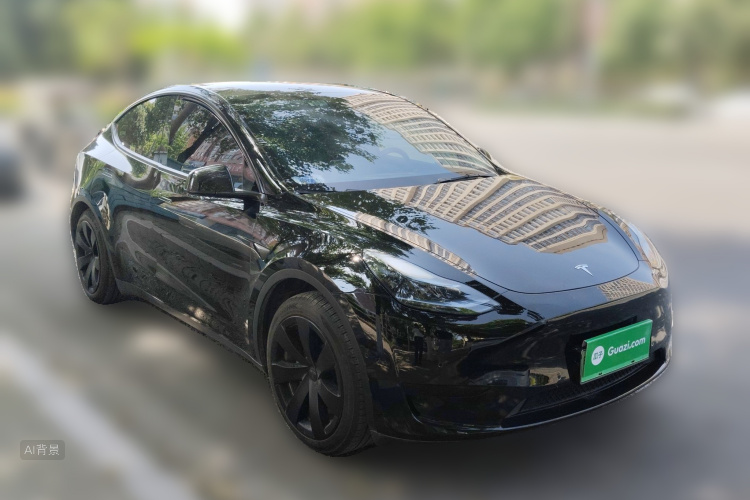 Tesla Model Y 2023 #4 Tesla Model Y 2023 car image #4