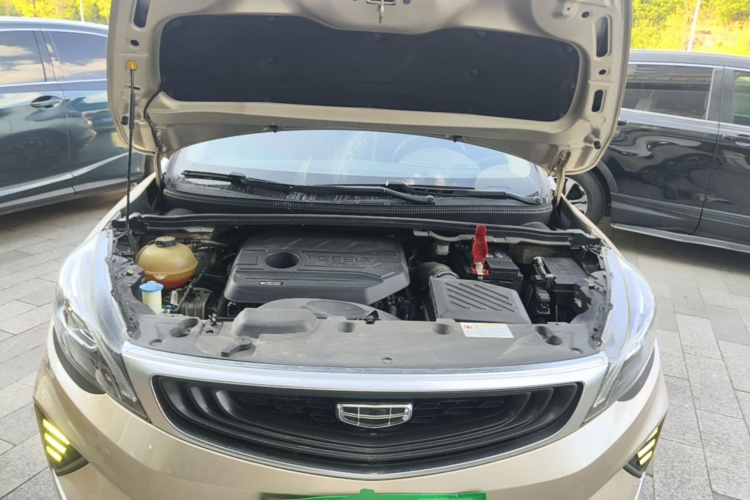 GEELY Emgrand GS 2020 car image #20
