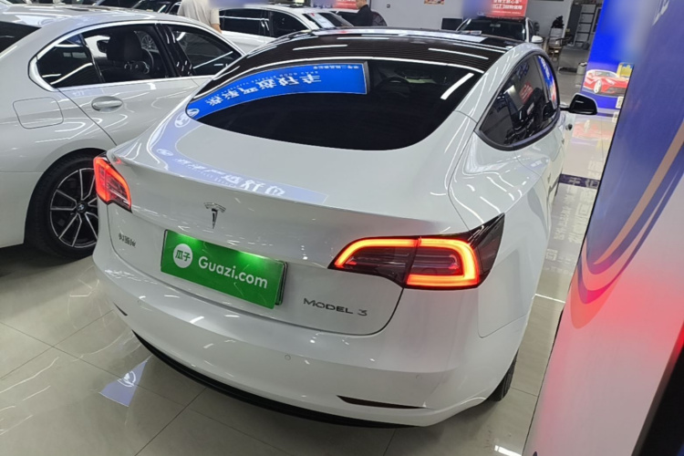 Tesla Model 3 2023 #5 Tesla Model 3 2023 car image #5
