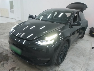 Tesla Model Y 2021 immagine di auto 
