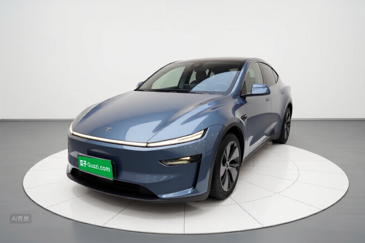 Tesla Model Y 2025 car image #3