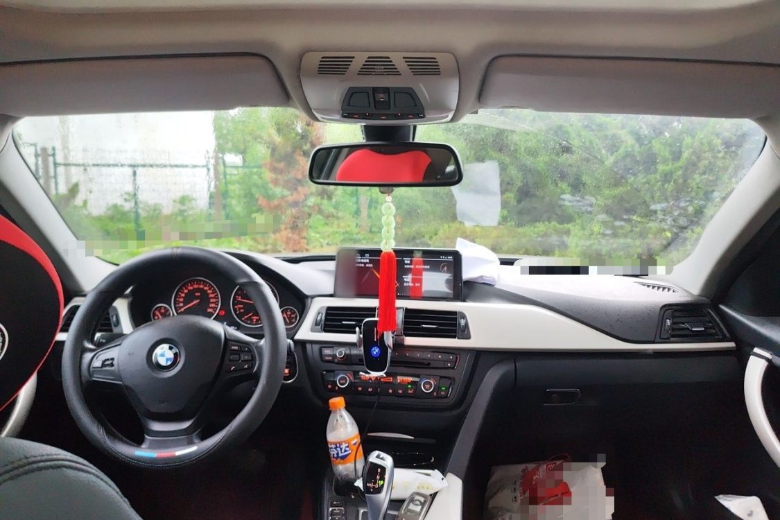 BMW 3 Series 2014 car image #22