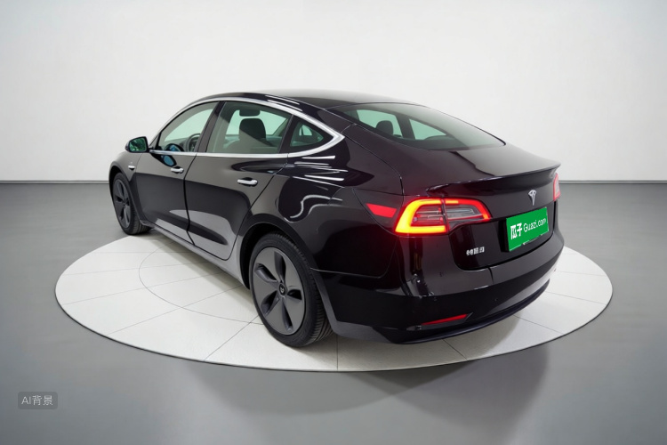 Tesla Model 3 2020 car image #5