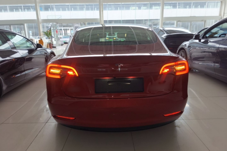 Tesla Model 3 2021 immagine di auto #6