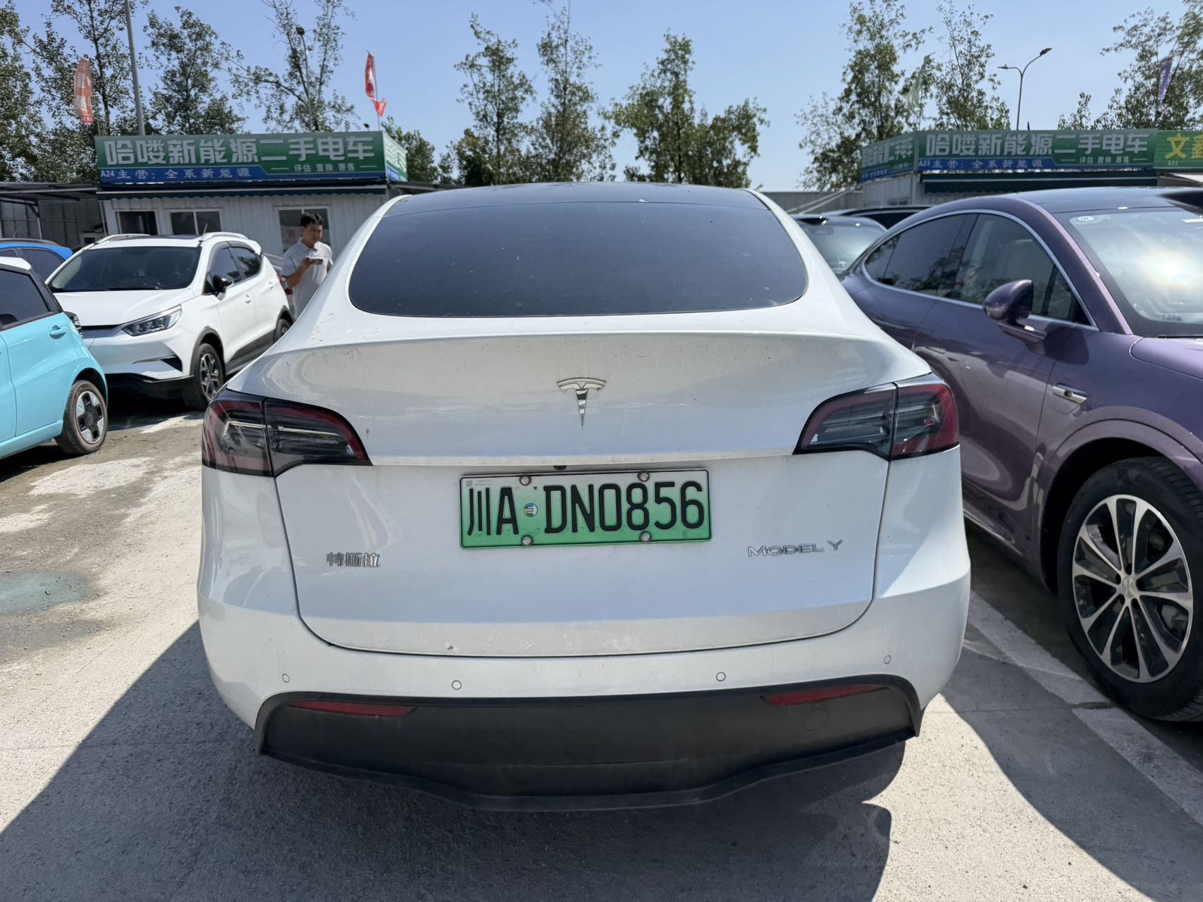Tesla Model Y 2021 #7 Tesla Model Y 2021 car image #7