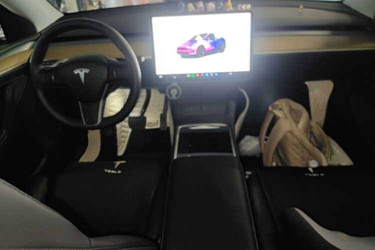 Tesla Model Y 2022 car image #10