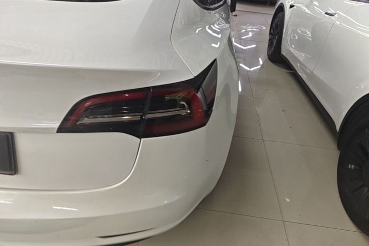 Tesla Model 3 2021 #8 Tesla Model 3 2021 immagine di auto #8