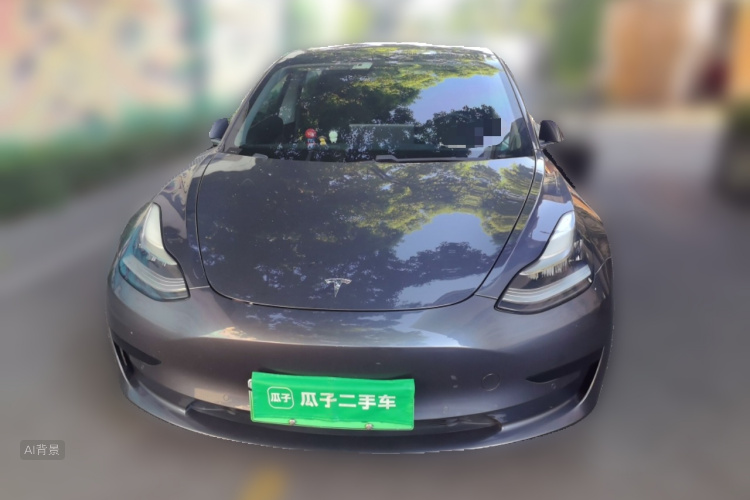 Tesla Model 3 2020 immagine di auto #3