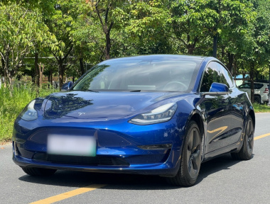 Tesla Model 3 2020 Tesla Model 3 2020 car image
