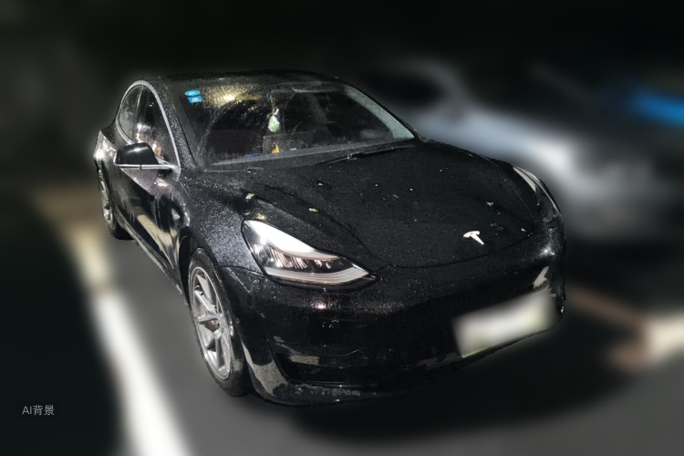 Tesla Model 3 2020 car image #4