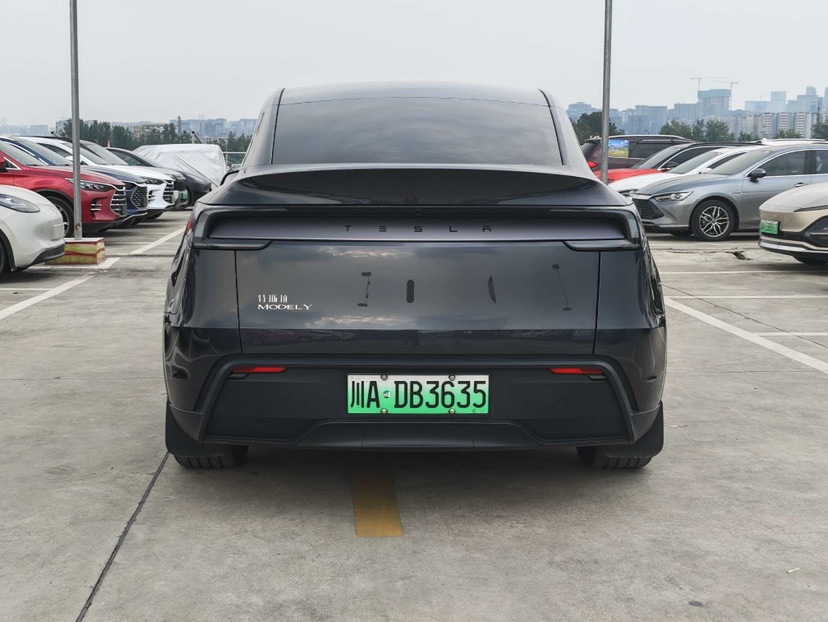 Tesla Model Y 2025 car image #6