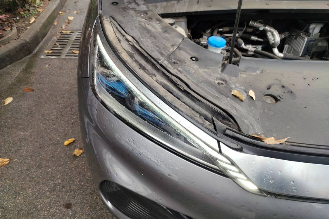 BYD Yuan Plus 2023 #7 BYD Yuan Plus 2023 imagen de coche #7