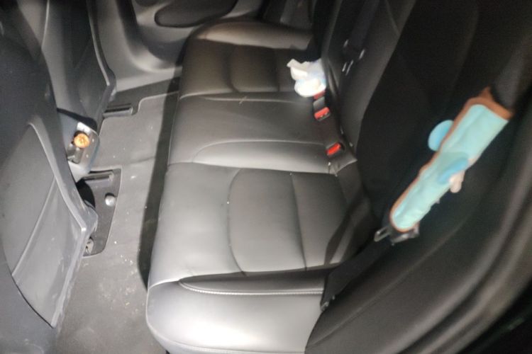 Tesla Model 3 2021 #14 Tesla Model 3 2021 car image #14