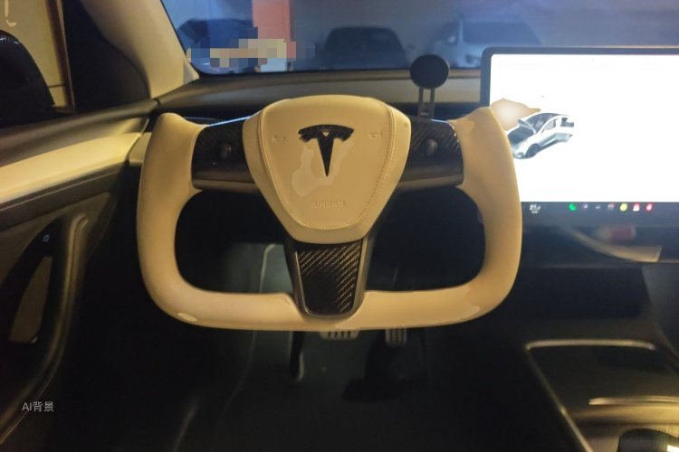 Tesla Model Y 2023 car image #12