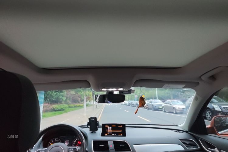 Audi Q3 2017 car image #20