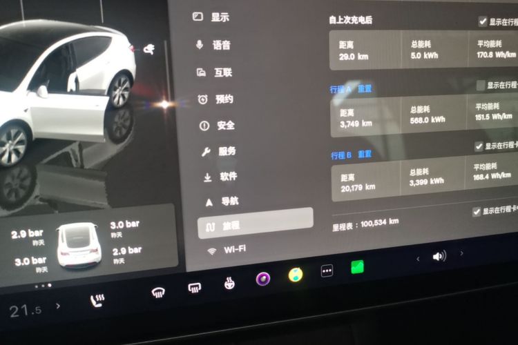 Tesla Model Y 2022 car image #12