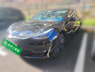 Tesla Model 3 2021 Tesla Model 3 2021 car image