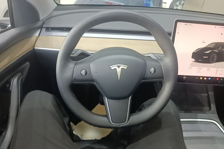 Tesla Model Y 2021 #11 Tesla Model Y 2021 car image #11