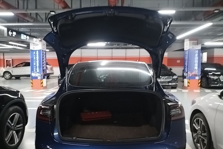 Tesla Model 3 2020 imagen de coche #21