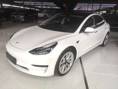 Tesla Model 3 2023 Tesla Model 3 2023 car image