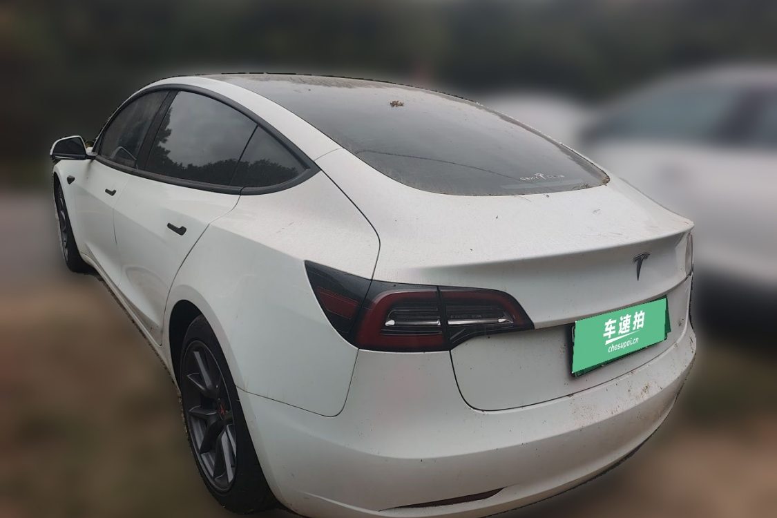 Tesla Model 3 2021 car image #3