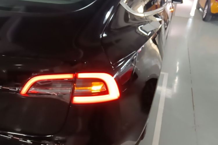 Tesla Model 3 2020 car image #8