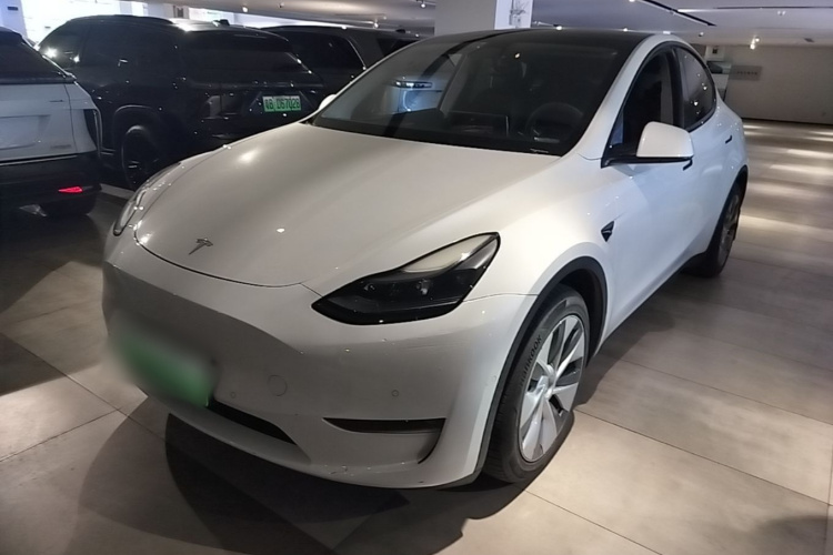 Tesla Model Y 2021 immagine di auto #2