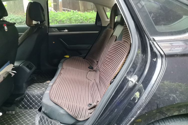 Volkswagen Lavida 2019 car image #19