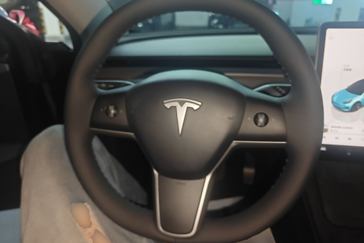Tesla Model 3 2022 car image #11