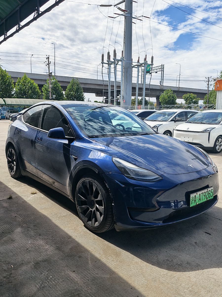 Tesla Model Y 2023 #7 Tesla Model Y 2023 car image #7