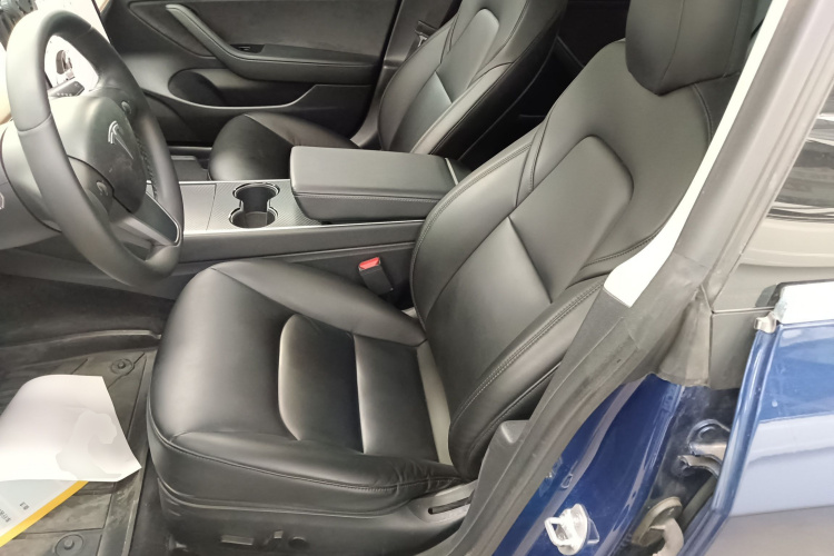Tesla Model 3 2020 immagine di auto #15